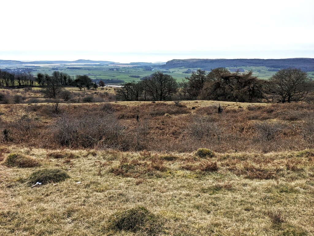 Scrubland on Helsington Barrows © David Medcalf cc-by-sa/2.0 ...