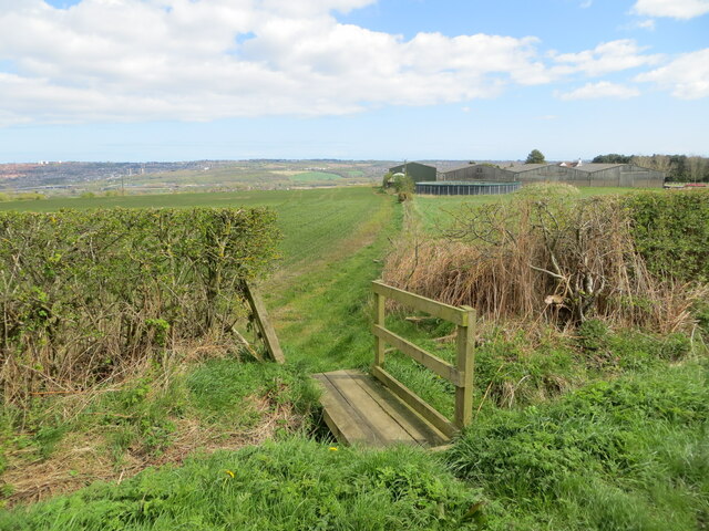 Footbridge from Riding Lane giving access to field edge path