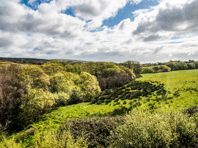 Mixed vegetation beside the Swanage... © John Lucas cc-by-sa/2.0 ...