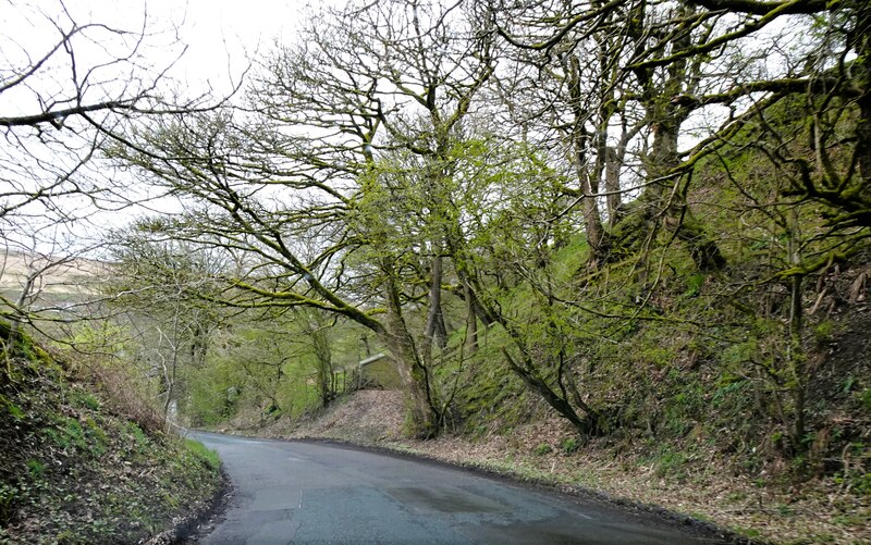 Egerton Road © philandju cc-by-sa/2.0 :: Geograph Britain and Ireland