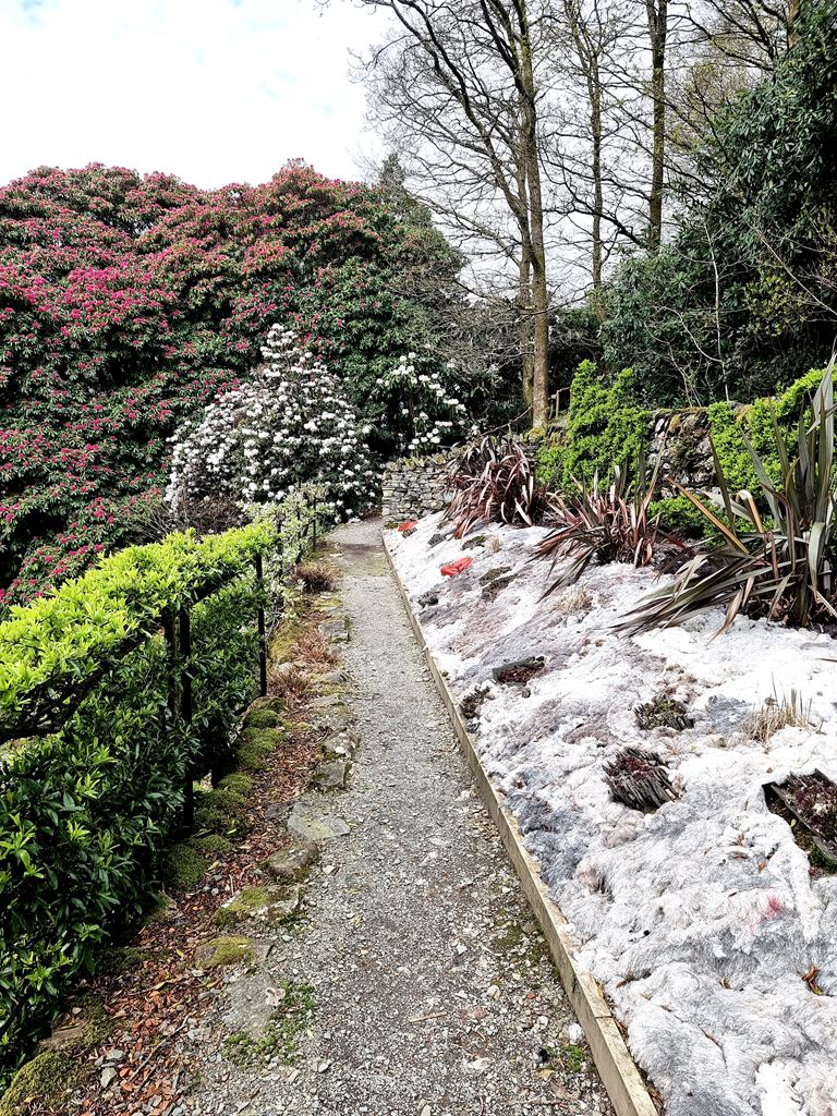 The Zig-zaggy garden at Brantwood © Oliver Dixon :: Geograph Britain ...