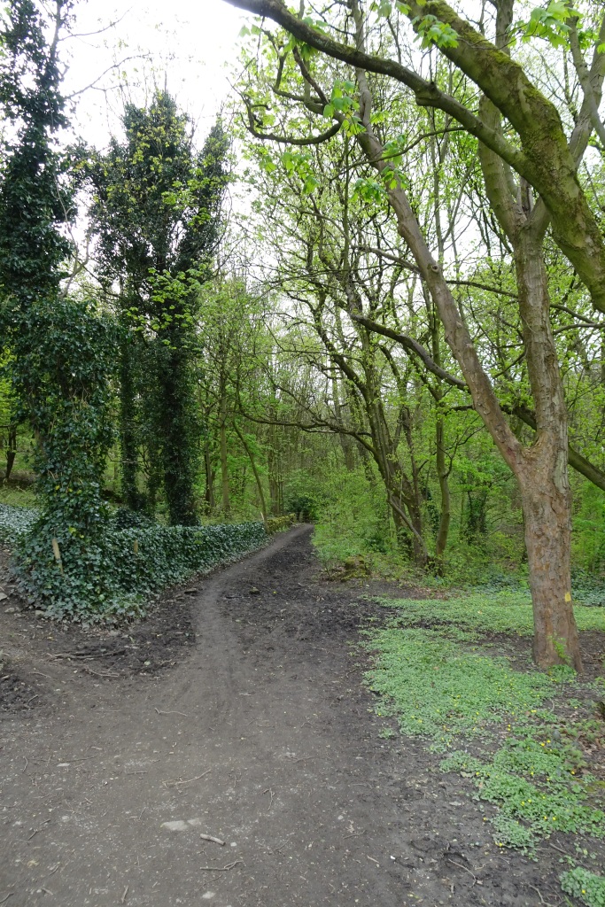 Bridleway Near Hunger Hill Bridge © Ds Pugh Cc By Sa20 Geograph Britain And Ireland 