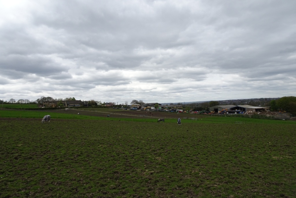 Fields near Calder Farm © DS Pugh :: Geograph Britain and Ireland