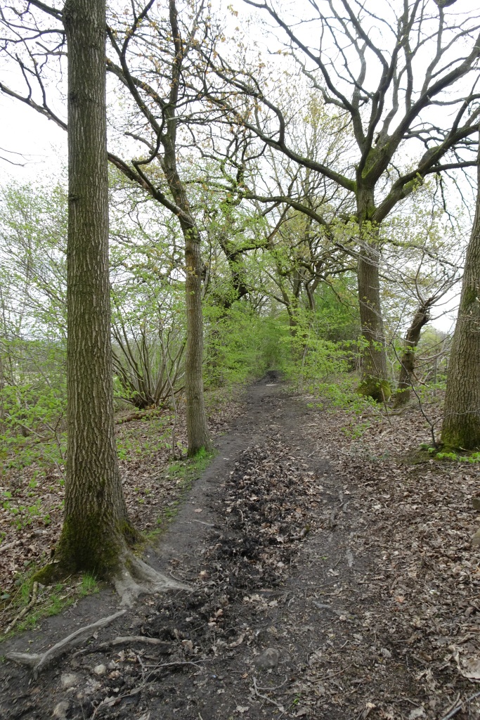 Bridleway To Ouzelwell Lane © Ds Pugh Cc By Sa20 Geograph Britain And Ireland 