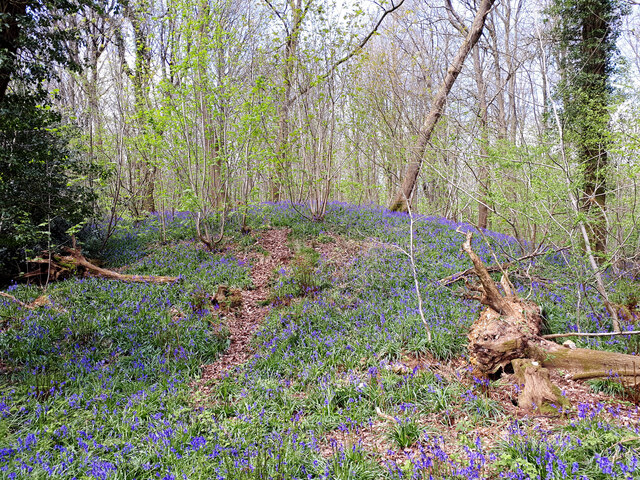 Barrow Copse Long Barrow © Vieve Forward :: Geograph Britain and Ireland