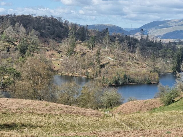 Tarn Hows © Oliver Dixon cc-by-sa/2.0 :: Geograph Britain and Ireland