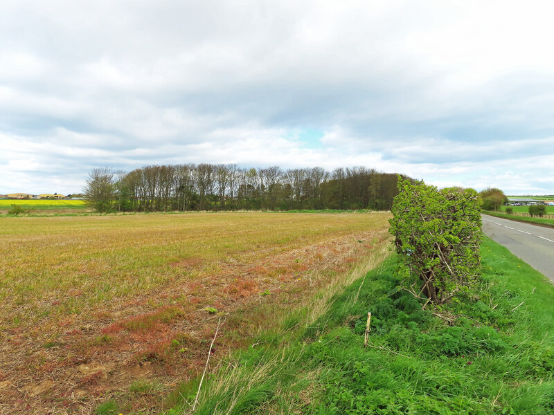 Farmland near Drem © Mary and Angus Hogg cc-by-sa/2.0 :: Geograph ...