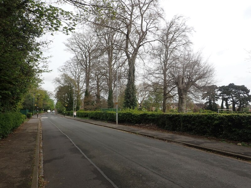 Heads Lane, Hessle © Marathon cc-by-sa/2.0 :: Geograph Britain and Ireland