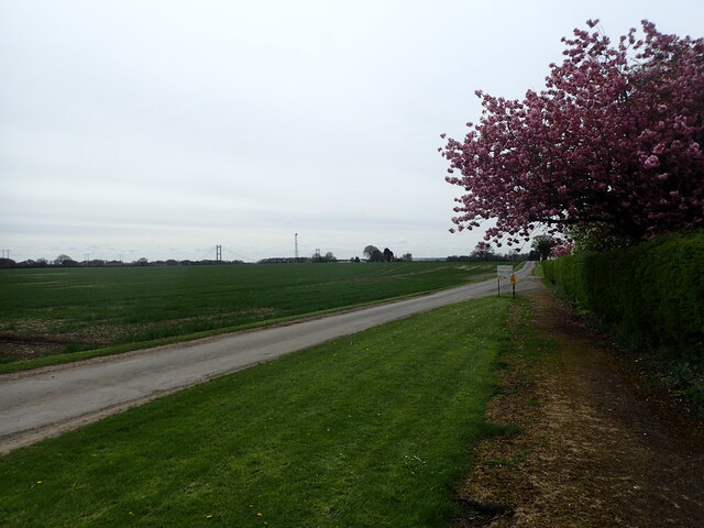 Humberdale at Swanland © Marathon :: Geograph Britain and Ireland