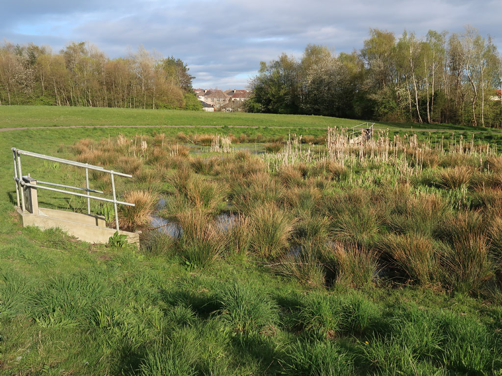 Biodiversity 'scrape' in Early Braes... © wrobison cc-by-sa/2.0 ...