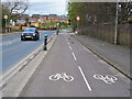 Cycle lane and the A74 at Mount Vernon