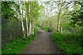 Path along the north bank of the River Aire