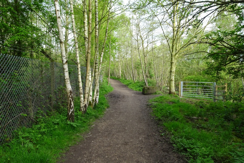 Path along the north bank of the River... © DS Pugh cc-by-sa/2.0 ...