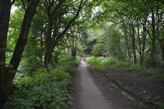 The Irwell Sculpture Trail © N Chadwick :: Geograph Britain and Ireland