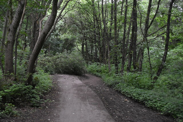 The Outwood Trail © N Chadwick cc-by-sa/2.0 :: Geograph Britain and Ireland