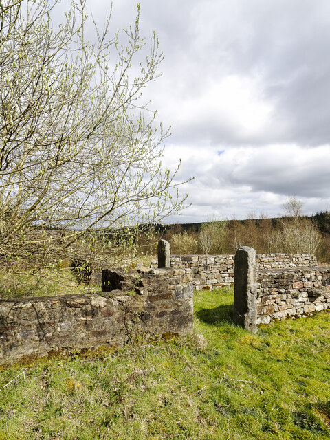 Remaining walls at Neighbour Moor House © Trevor Littlewood :: Geograph ...