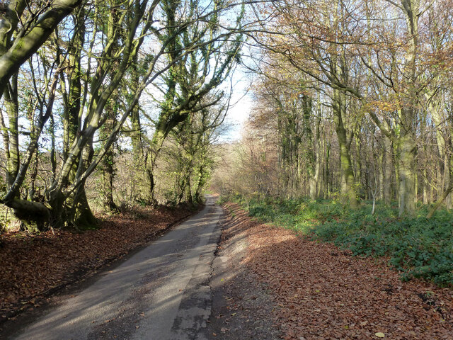 Penny Pot Lane © Robin Webster cc-by-sa/2.0 :: Geograph Britain and Ireland