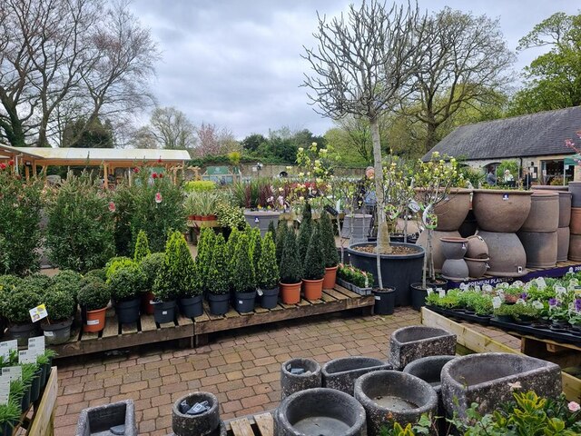 Beetham Garden Centre © Oliver Dixon cc-by-sa/2.0 :: Geograph Britain ...