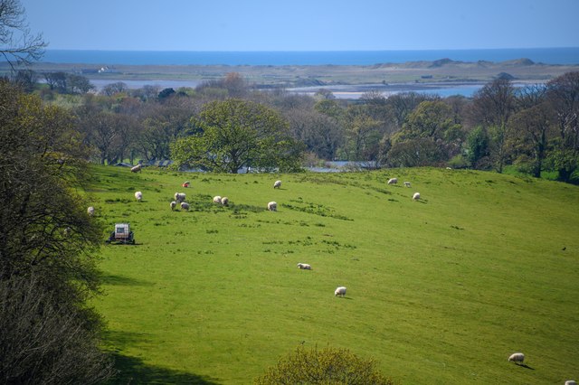 Caernarfon : Grassy Field © Lewis Clarke :: Geograph Britain and Ireland