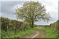 Bridleway north of playing field at Rowde