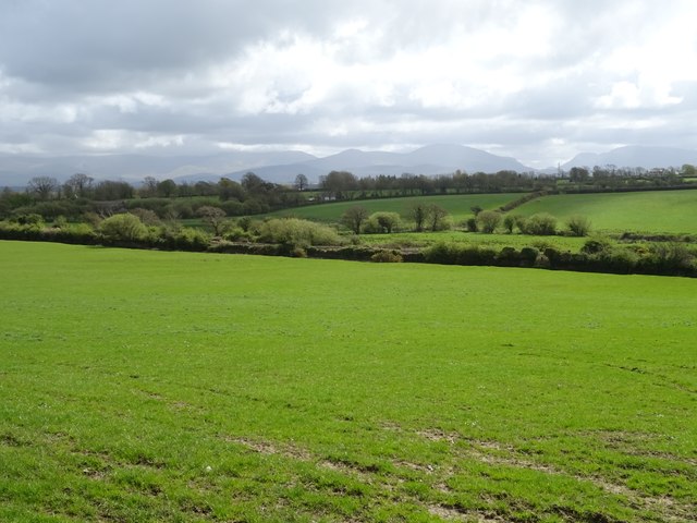 Grassland towards the North Wales Coast Line