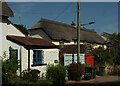 Thatched cottages, Holcombe