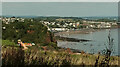 Dawlish from the coast path