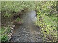 Cound Brook near Stapleton