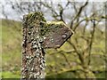 Lichen-clad waymarker