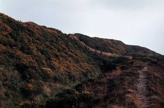 Pilsdon Pen © David Purchase cc-by-sa/2.0 :: Geograph Britain and Ireland