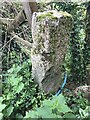 Old Milestone west of Carnon Downs