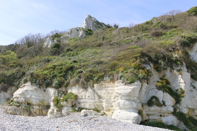 Maritime cliff slope vegetation,... © Adrian Diack :: Geograph Britain ...