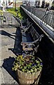 Flower tub and metal benches, Abertillery