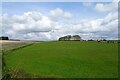 Fields near Walkhouse Farm