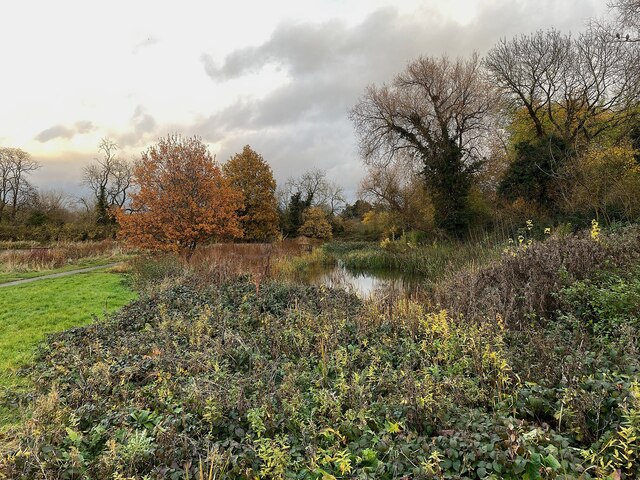 Pond, Myton Fields, Warwick © Robin Stott :: Geograph Britain and Ireland