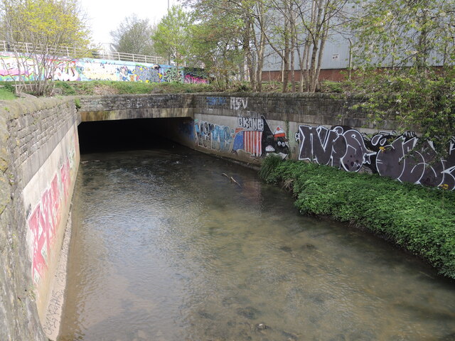 The Frome re-emerges © Neil Owen :: Geograph Britain and Ireland