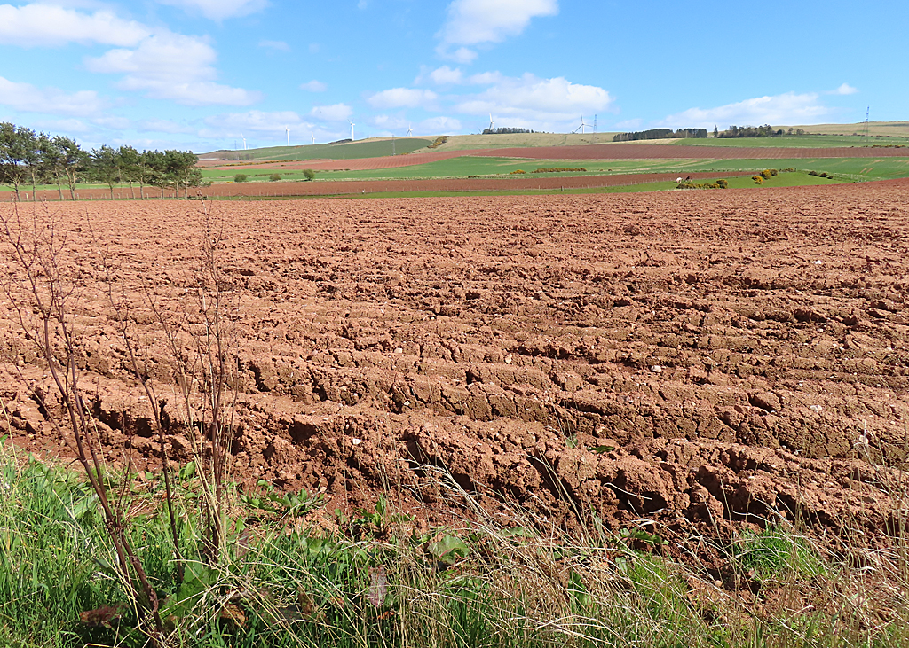 Old Red Sandstone Soil © Anne Burgess :: Geograph Britain and Ireland