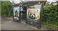 Kingdom of The Planet of The Apes and ZSL Whipsnade Zoo adverts