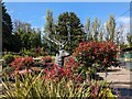 Stag at the garden centre