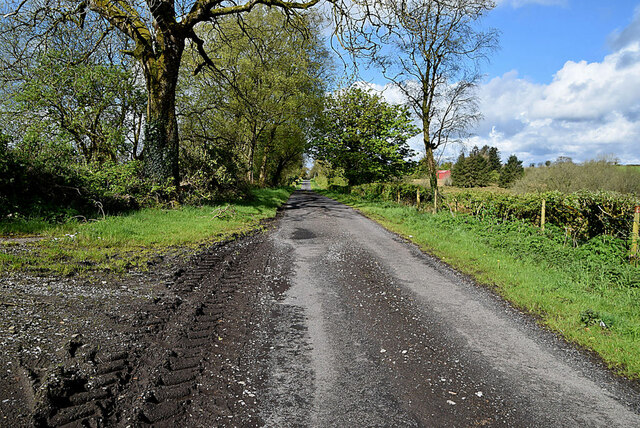 Muddy Along Nedsherry Road © Kenneth Allen Cc-by-sa 2.0 :: Geograph Ireland