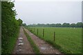 Pasture by Horne Bridleway 523