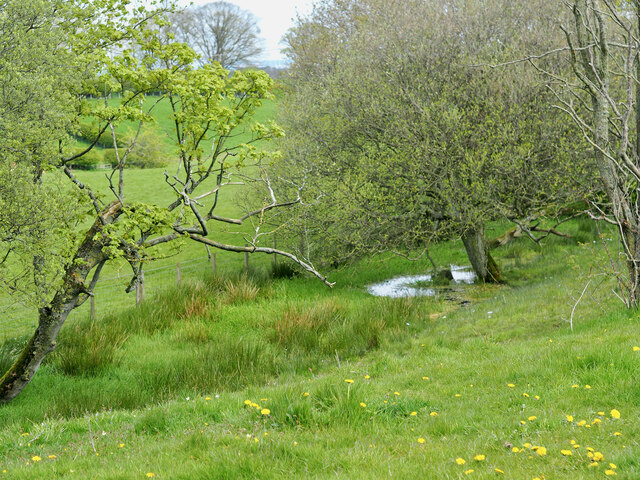 A Bimble along the Berm — overlooking... © Mick Garratt :: Geograph ...