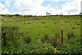 Nedsherry Townland