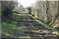 Royal Military Canal Path