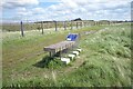 The Seal bench by the Thames Estuary