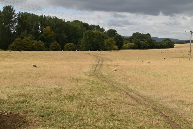 Byway © N Chadwick :: Geograph Britain and Ireland