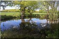 Pond near Burn