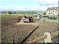 Horses at Medomsley Crossroads