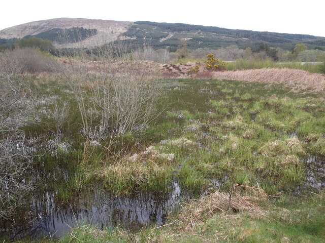 Pond at Fassfern