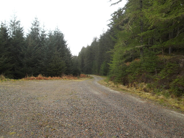 Forest road © David Brown cc-by-sa/2.0 :: Geograph Britain and Ireland